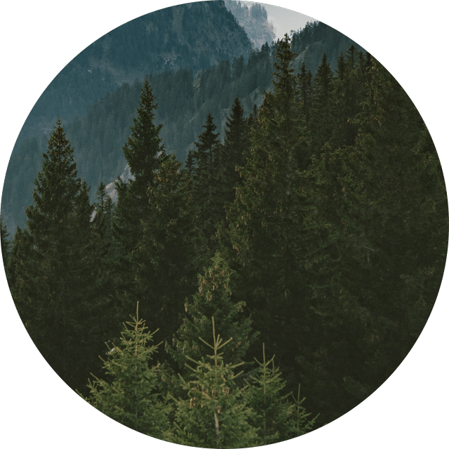 v-sh-sl-3-circle.png